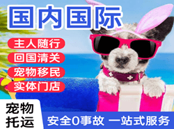 六盘水月照机场货运国际宠物托运 【国